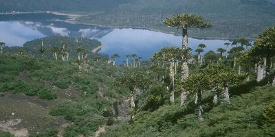 ConguillioMINAGRI_620x200