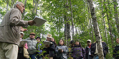 bosque-nativo_losrios200