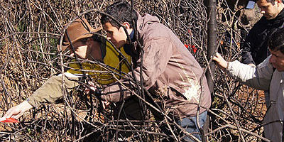 causas-IF_losrios200