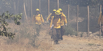 brigadistas-ohiggins200