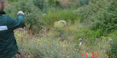 prevencionIF-sinai200