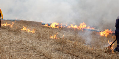 quema-agricola-CONAF200