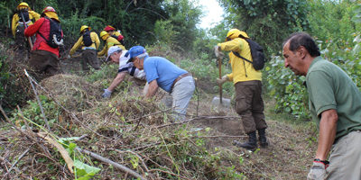 Desmalezamiento-Vipla200