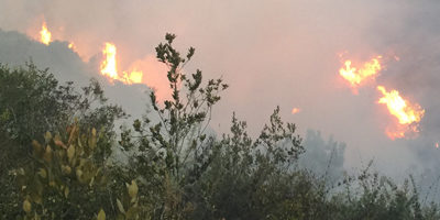 IF-Sto_Domingo-Elconvento200