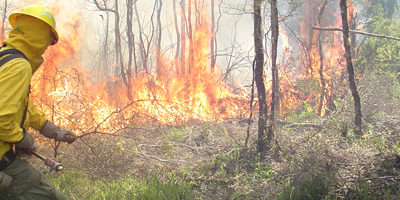 brigadistaIF-fuego-loslagos200