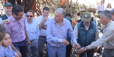 china-muerta_rest200