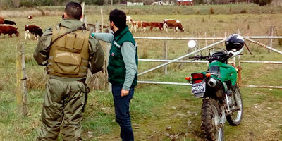 quemas-carab_losrios200