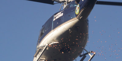 siembra-china_muerta200