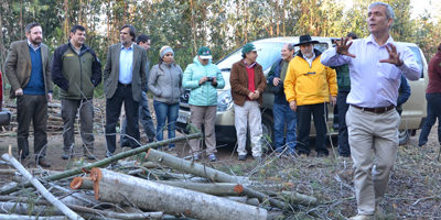 Manejo-silvicultural_penuelas200