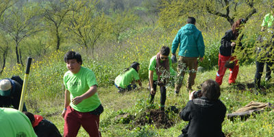 Voluntarios-plantan-csncristobal200