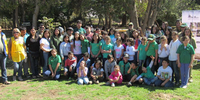 Arborizacion-scouts_chamonate200