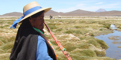 indigena-tarapaca200