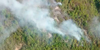 IF-achibueno-maule200