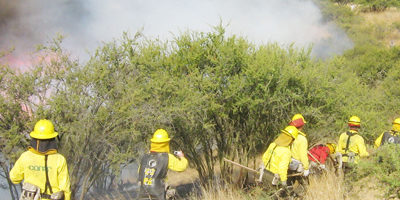 IF-fiestas_patrias_prev200