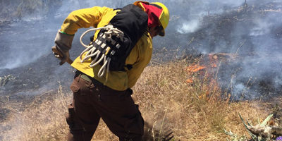 brigadista-IF_CONAF200