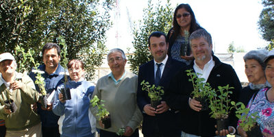 cesfam-las-cabras200