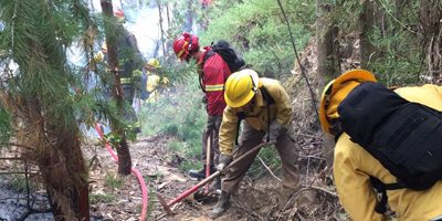 brigada-IF_bomberos200