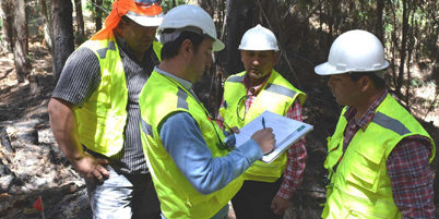 Curso-invest-FArauco200