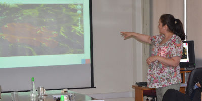 IF-fiscalia_invest200