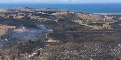 IF-fundo_colenguado200