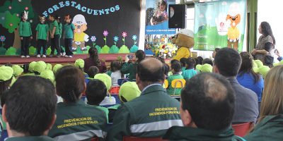 cierre2016-forestacuentos200