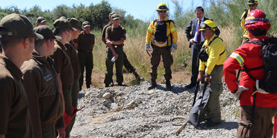 capacita_carab-IF200