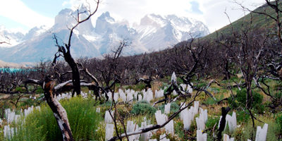 restauracion-torres-paine200