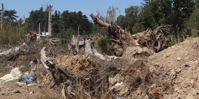 prevIF-laguna_verde200