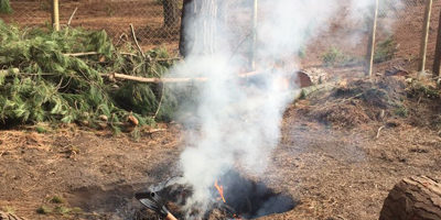 quema-tala-laguna_verde200