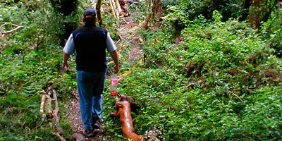 convenio-ssalud_arauco200