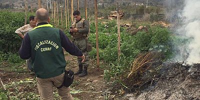 quemas-limache_carab200