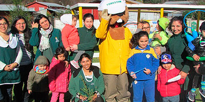 forestin-arboriza_arauco200