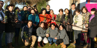 convenio-prodemu-ohiggins