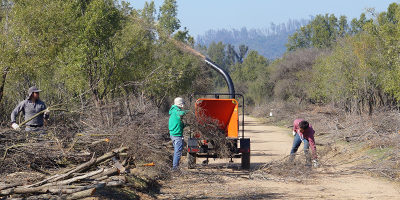 silvicultura-prevIF-RNLP200