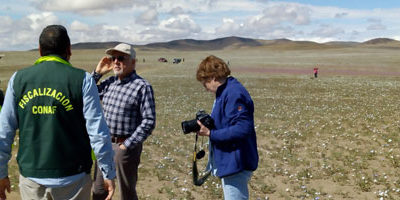 fiscaliza-desierto_florido200