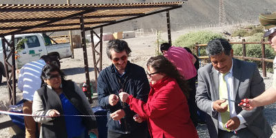 mirador-cuya_arboriza200