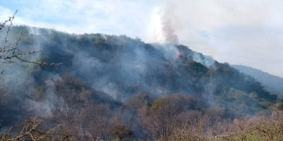 IF-sur-stodomingo200