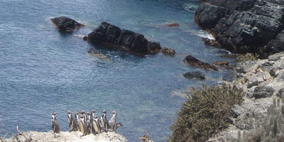 RNPdH-biodiversidata200