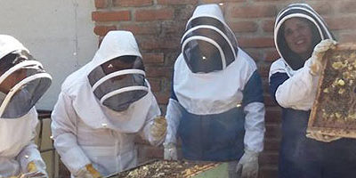 proyecto-educativo_olmue200