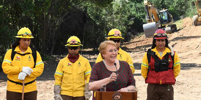 cortafuego-coltauco200
