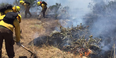 brigadistas_IF-COMBATE__200