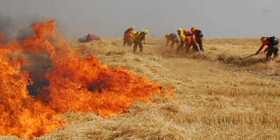 brigada-quema_agric200