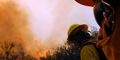 brigadistas_cerca200