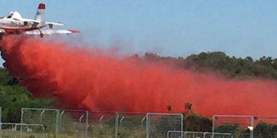 retardante-papa-temuco200