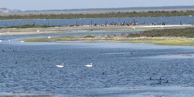 Humedadl-RN-El-Yali200