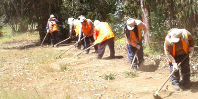 cortafuegos-Villa-el-Sol-San-Antonio200