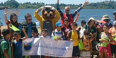 forestin-humedales_quillon200