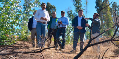 DE-terreno_paredones200