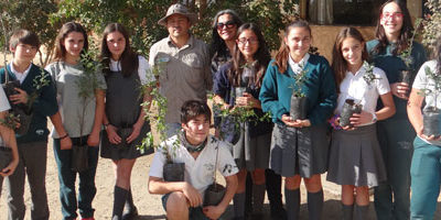 arboriza-colegio_quillota200