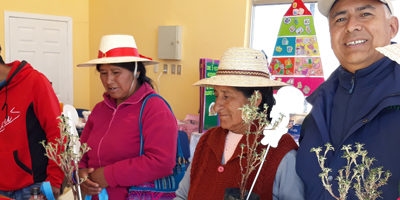 quenoa-gral_lagos200